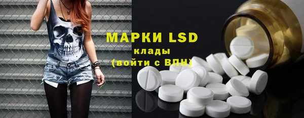 ПСИЛОЦИБИНОВЫЕ ГРИБЫ Белоозёрский