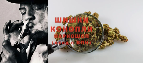 ПСИЛОЦИБИНОВЫЕ ГРИБЫ Белоозёрский