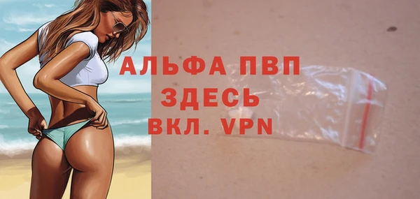 ПСИЛОЦИБИНОВЫЕ ГРИБЫ Белоозёрский