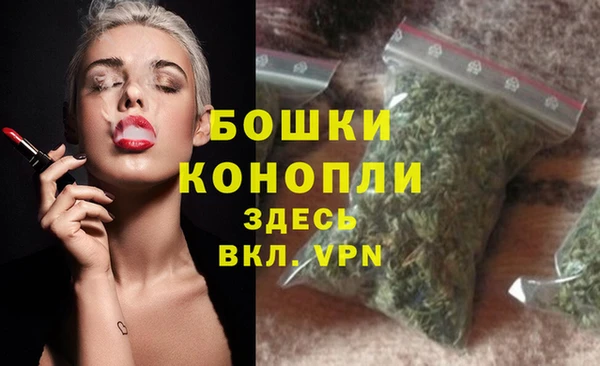 ПСИЛОЦИБИНОВЫЕ ГРИБЫ Белоозёрский