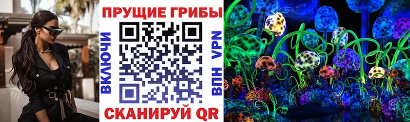 Галлюциногенные грибы Psilocybe  Облучье 